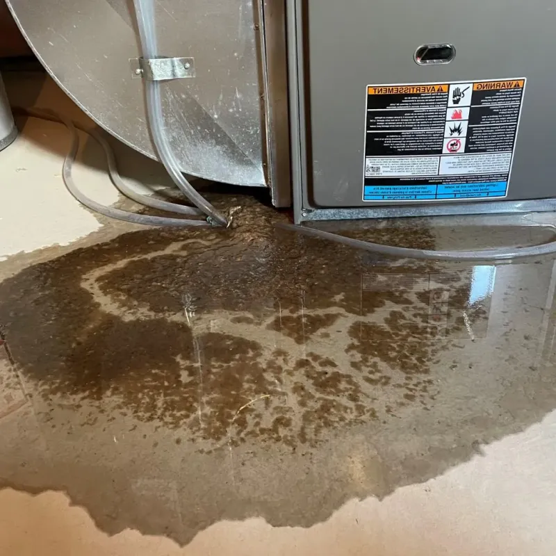 Pipe Burst and Leak Restoration in Branford, CT